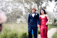 Prom 20236