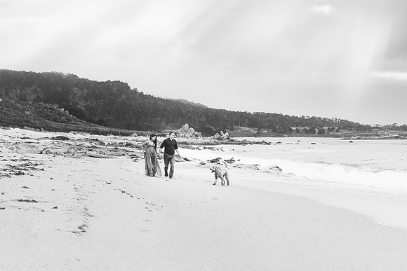 untitled-217-Edit