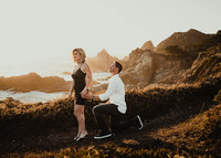 Michele-Brett-2